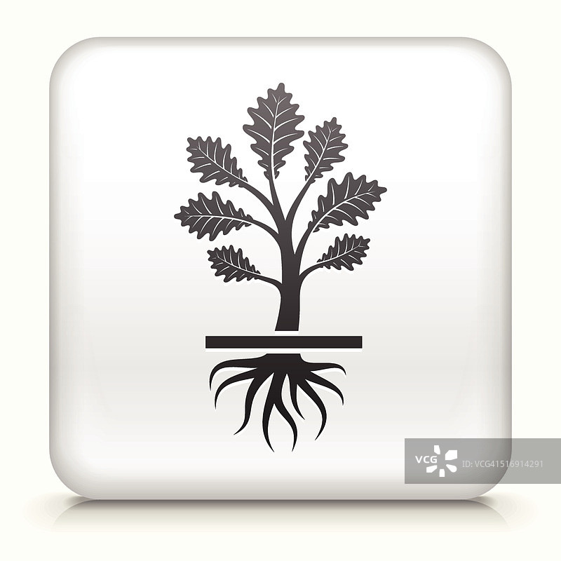 免版税矢量方形按钮与生长植物图片素材
