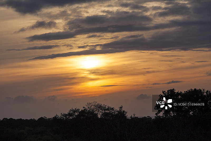 亚拉国家公园的日落图片素材