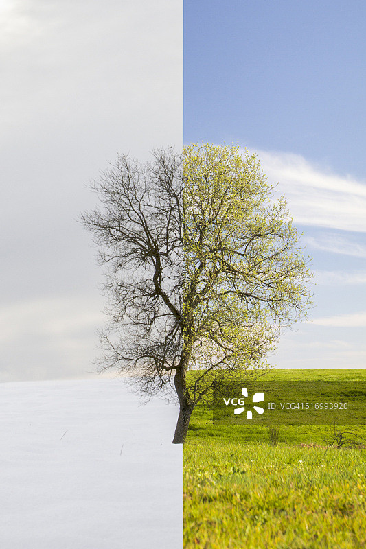 季节变换图片素材