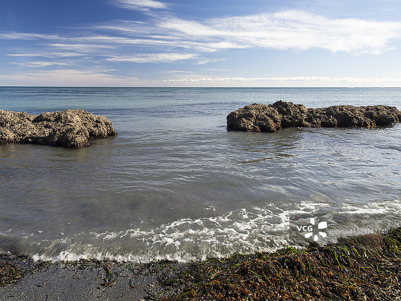 海滩上可回收的波西多尼亚藻类图片素材