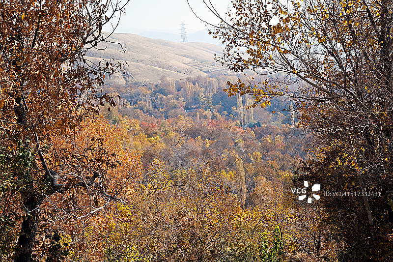 秋季景色图片素材