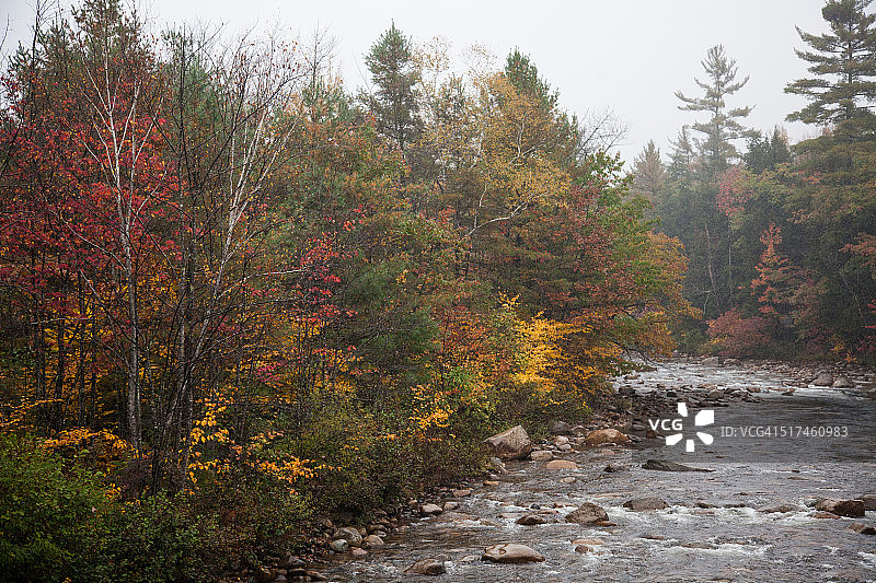 雾和秋叶中的新英格兰溪流图片素材
