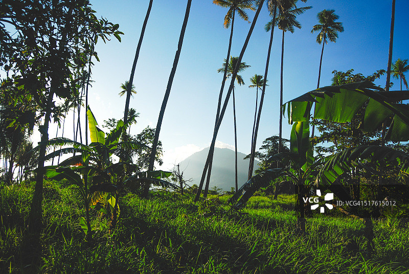 布纳肯岛自然风光图片素材
