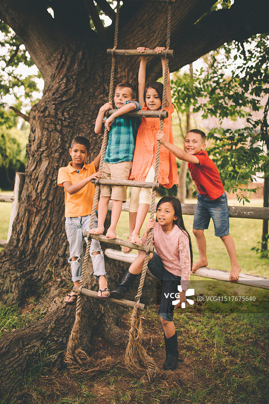 多种族儿童在树上的绳梯上图片素材