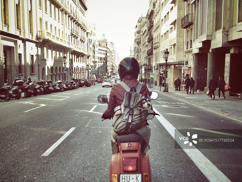 背包里的狗图片素材