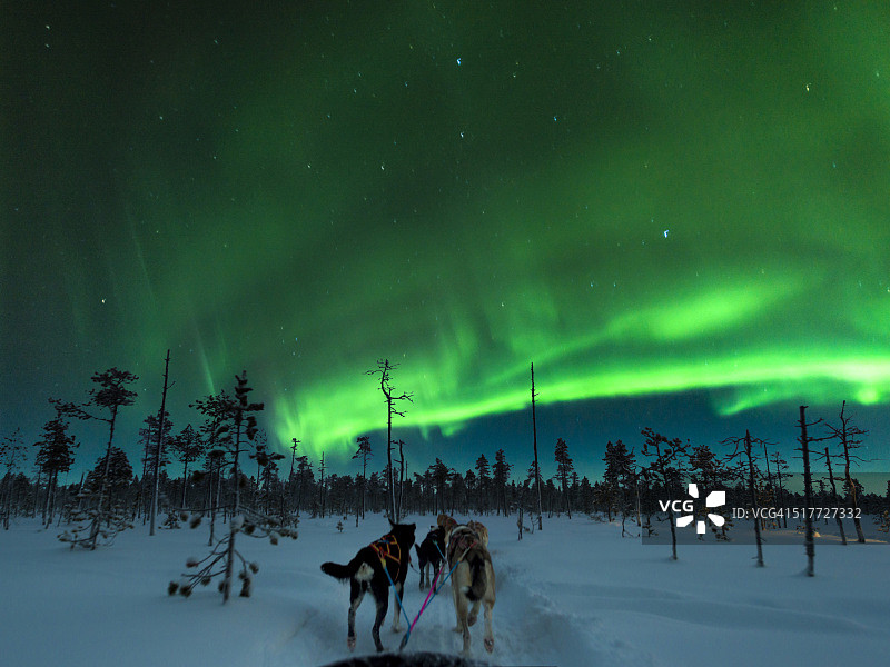 芬兰的极光雪橇之旅图片素材