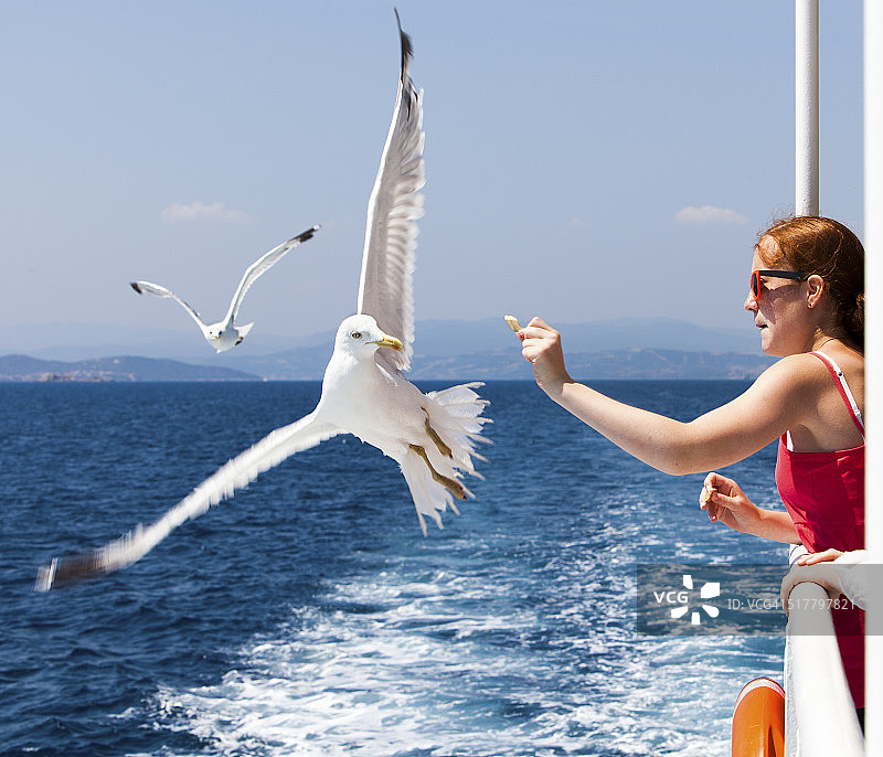 在船上喂海鸥的女孩图片素材
