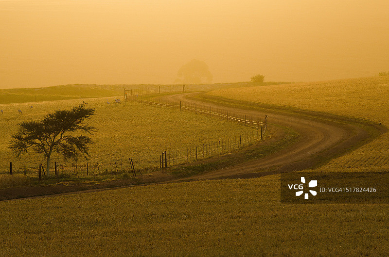 雾中的道路图片素材