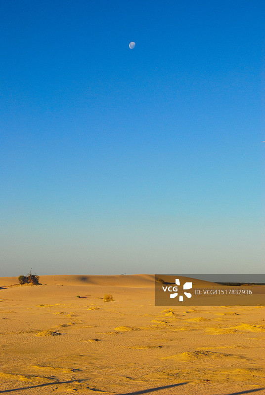 蒙戈国家公园的沙漠沙丘图片素材