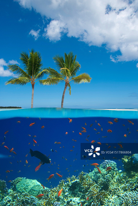 珊瑚礁热带岛屿图片素材