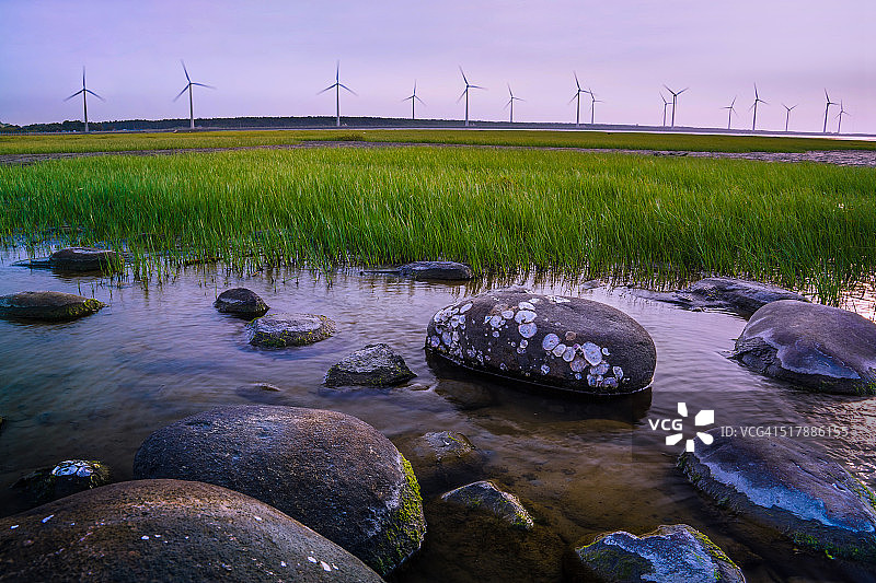 日出时分的高美湿地风力发电场图片素材