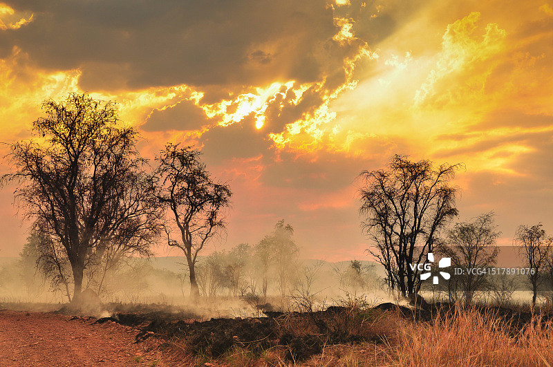 金伯利丛林大火图片素材