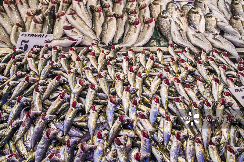 市场上出售的竹荚鱼图片素材