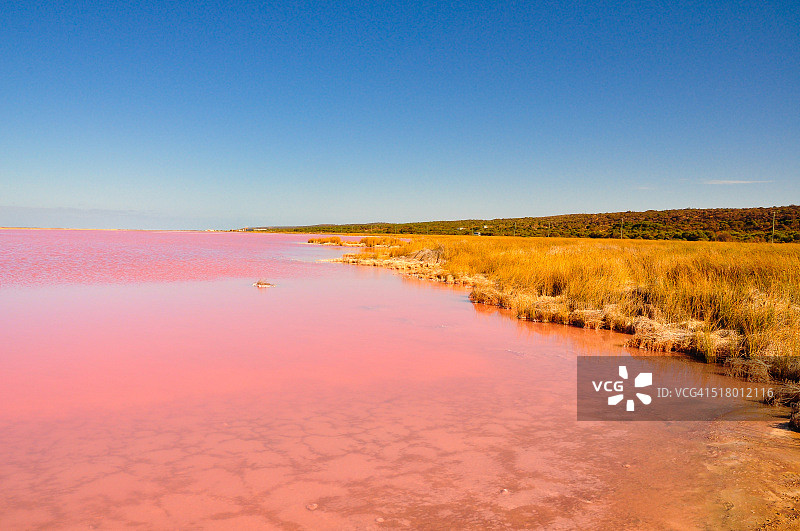 格雷戈里港盐湖图片素材