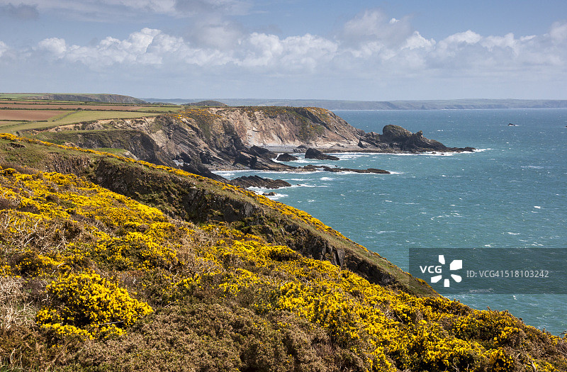 阳光明媚的春天，彭布罗克郡海岸线图片素材