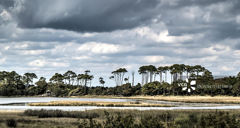 海岸沼泽图片素材