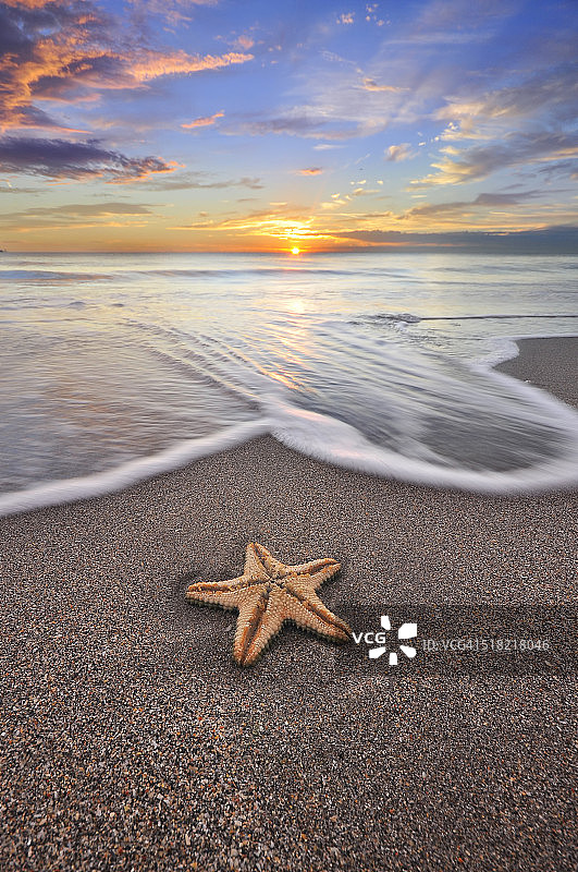 海星和日出图片素材