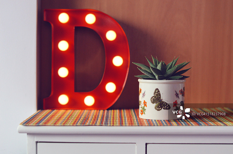 遮篷灯和多肉植物图片素材