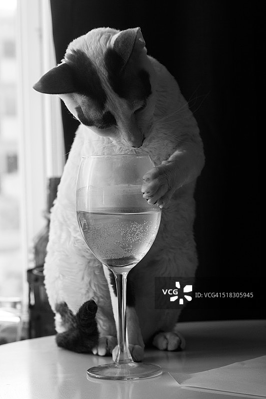 葡萄酒休息时间图片素材