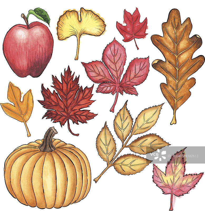 水彩秋季元素合集图片素材