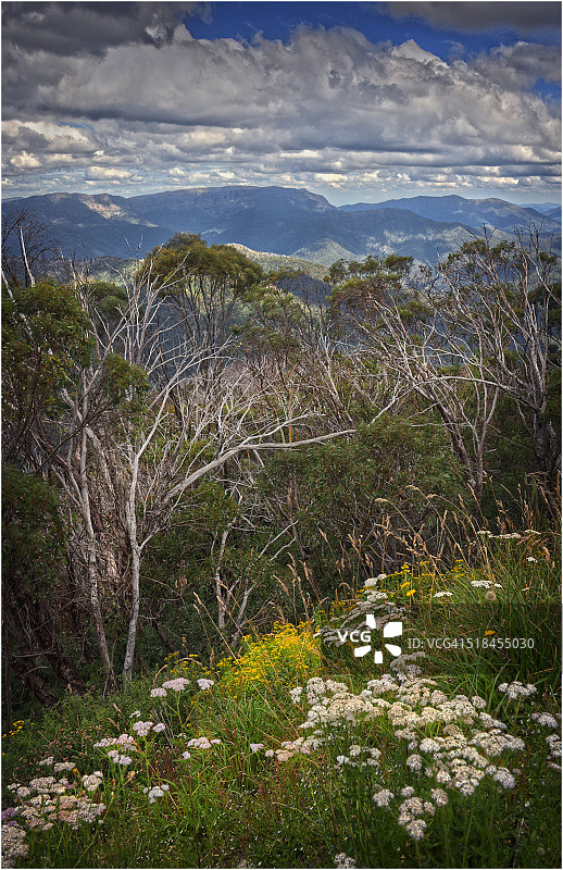 澳大利亚维多利亚州布勒山风光图片素材