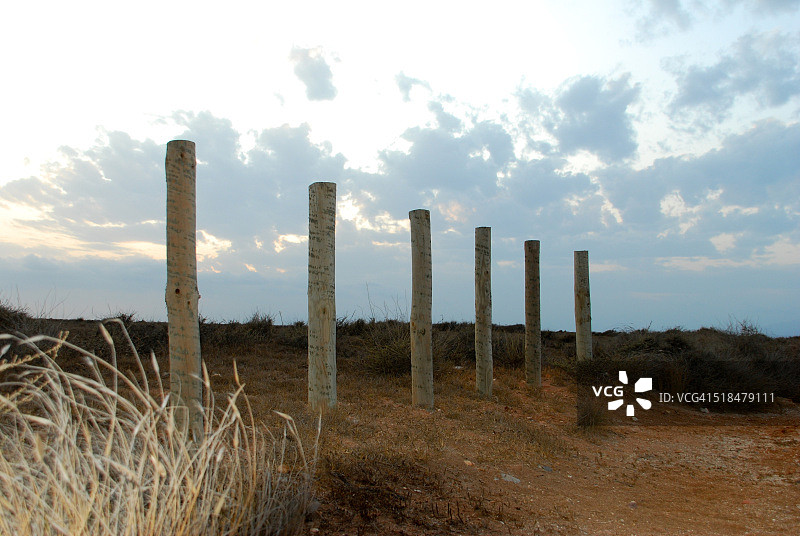 田野上的木棍图片素材