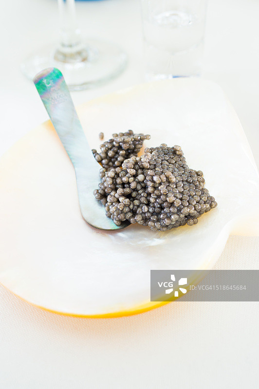 白鲸鱼子酱特写图片素材