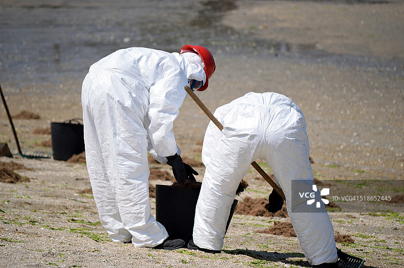 清洁海滩的工人图片素材
