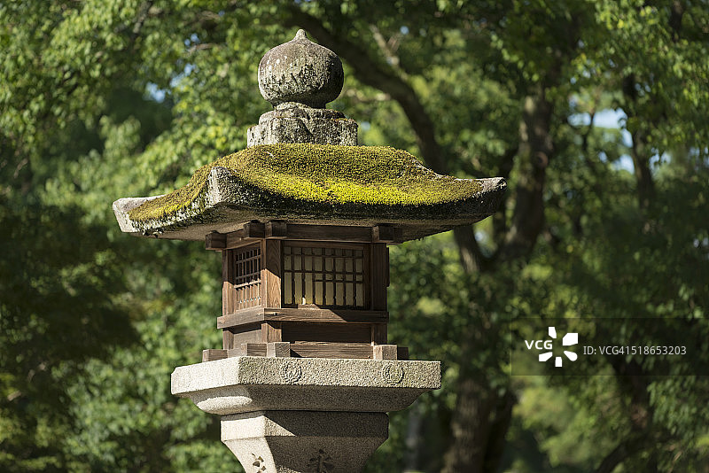 奈良公园的古老石灯笼图片素材