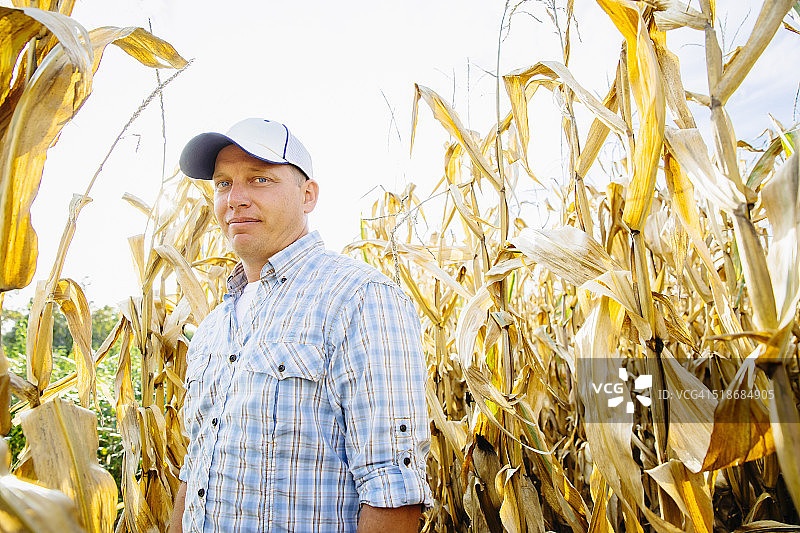 玉米地里自豪的农民图片素材