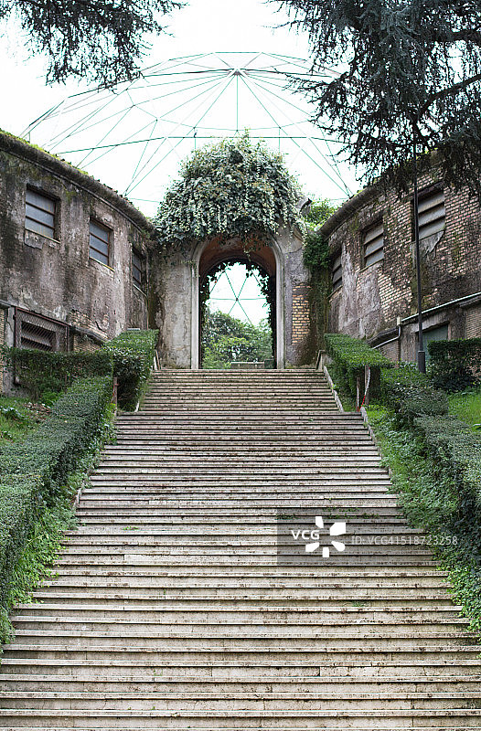 楼梯和鸟舍图片素材