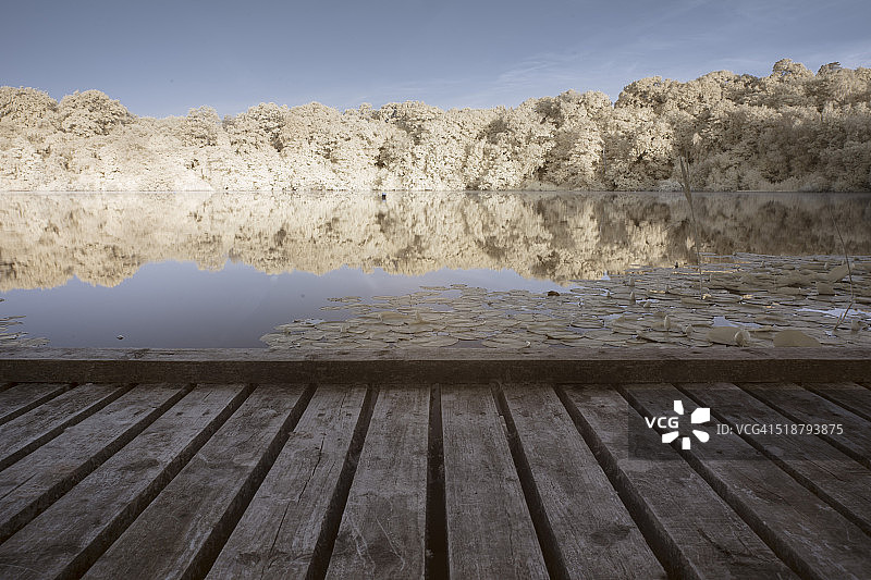 德文郡纽顿艾 Abbot 的 Decoy 湖图片素材