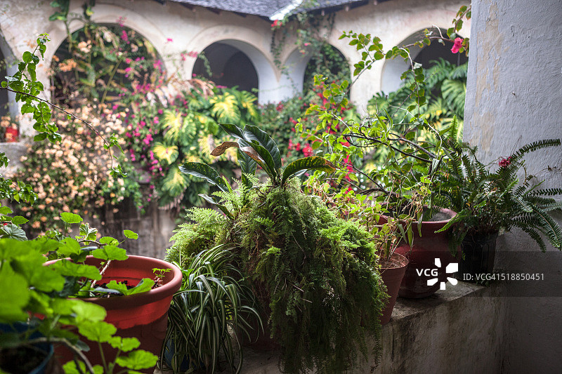 种满植物的教堂回廊图片素材