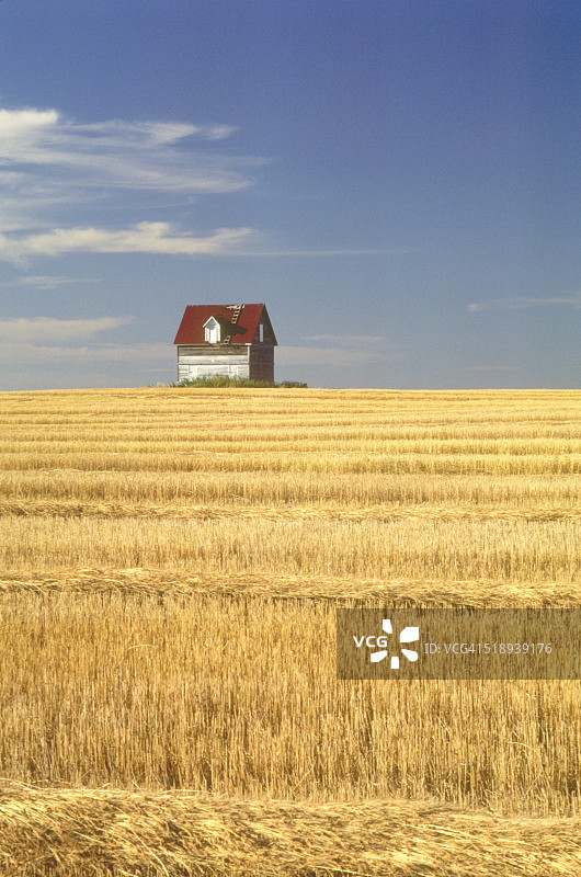 萨斯喀彻温省的田野和农舍图片素材