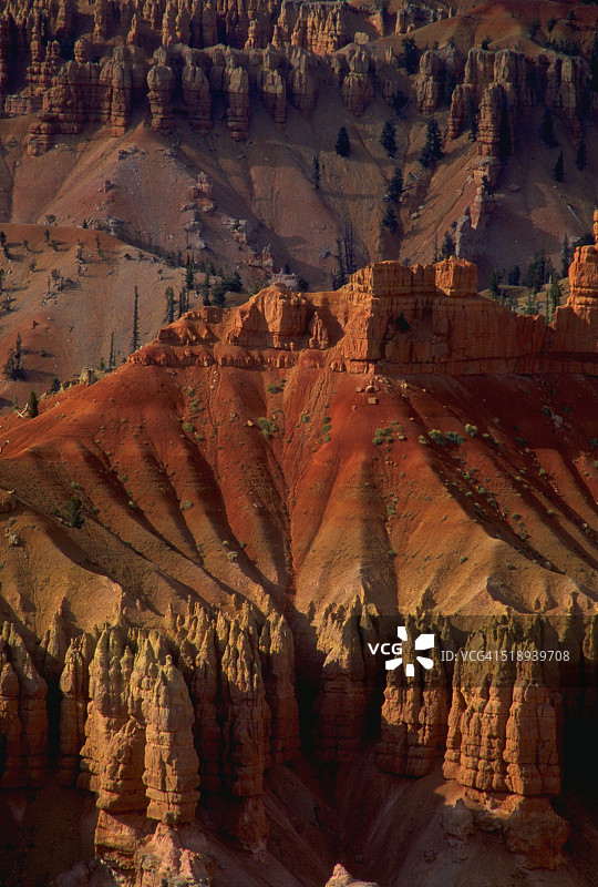 雪松打破国家纪念碑图片素材