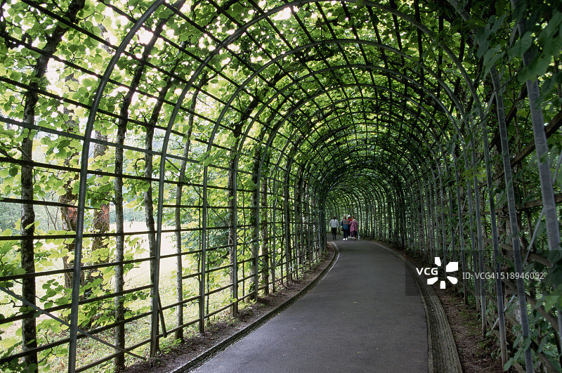 林德霍夫宫的葡萄藤覆盖的凉棚图片素材