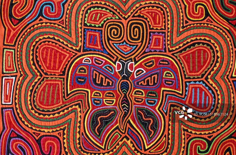 巴拿马库纳莫拉突出头部蝴蝶细节图片素材