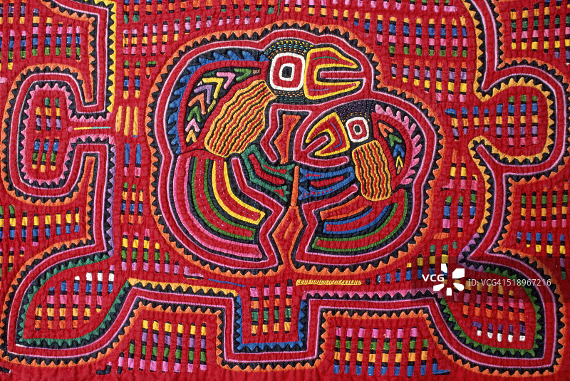 巴拿马库纳莫拉双鹦鹉细节图片素材