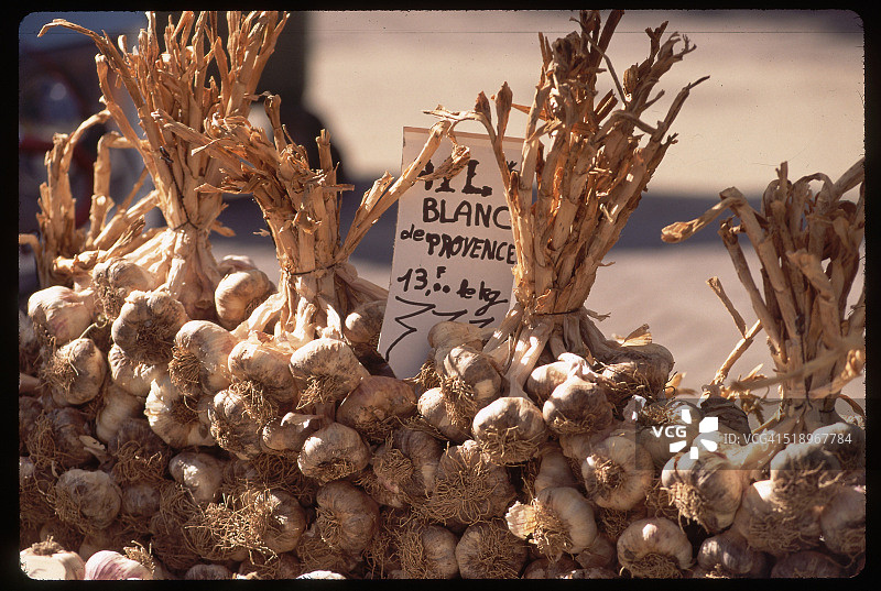 大蒜头图片素材