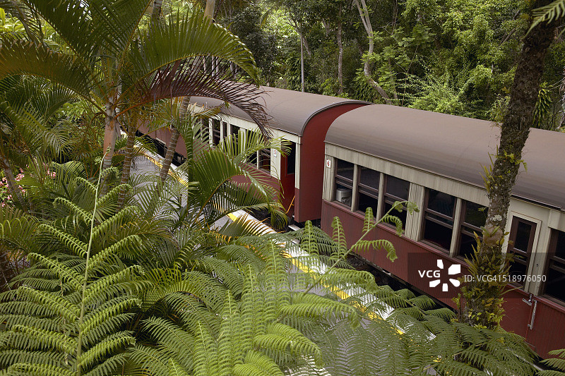 森林中的火车高角度视图图片素材