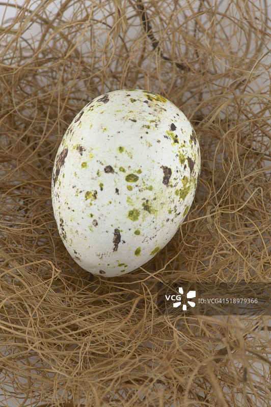 稻草上的复活节彩蛋特写图片素材