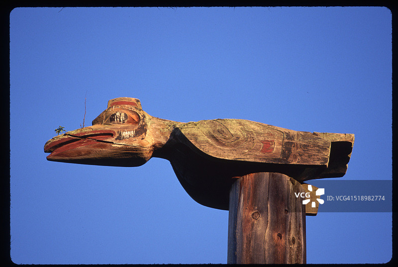温哥华图腾柱顶端的鸟类雕像图片素材