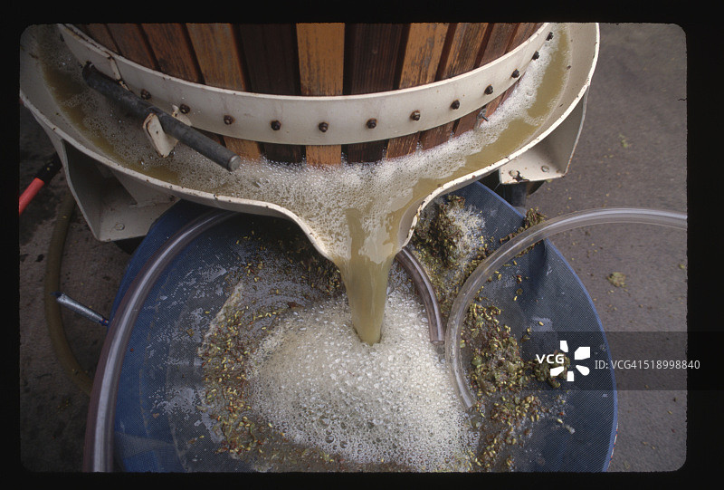 从压榨机中流出的未来葡萄酒图片素材