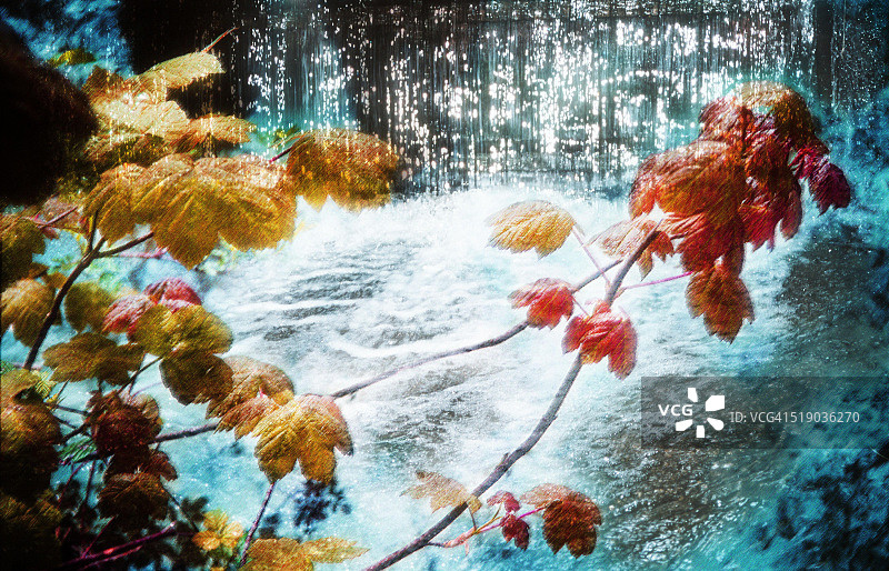 延伸至河流上空的树枝图片素材