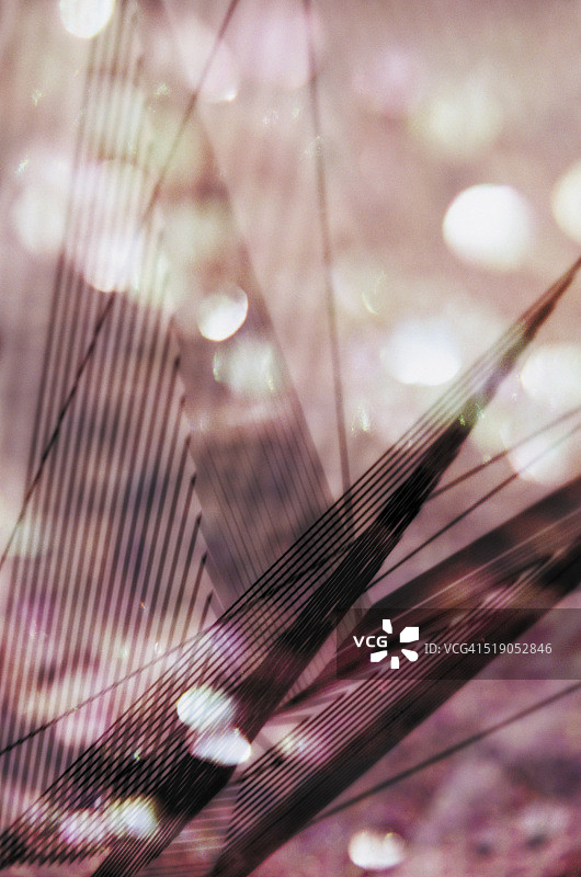 扭曲的几何形状图片素材