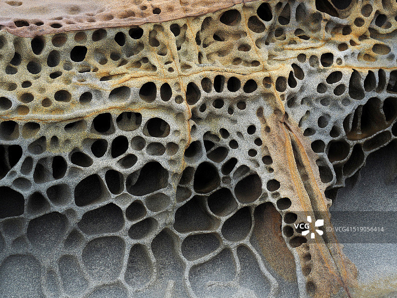 加利福尼亚州豆谷州立公园的Tafoni岩层图片素材