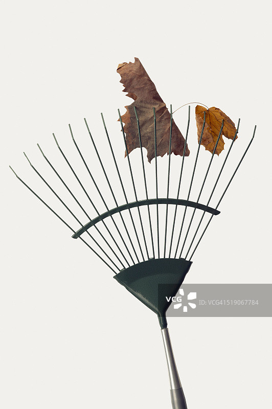 卡在花园耙子上的秋叶图片素材