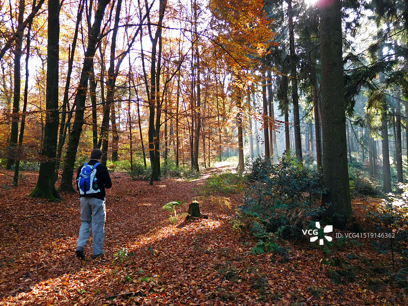 森林中的徒步者图片素材