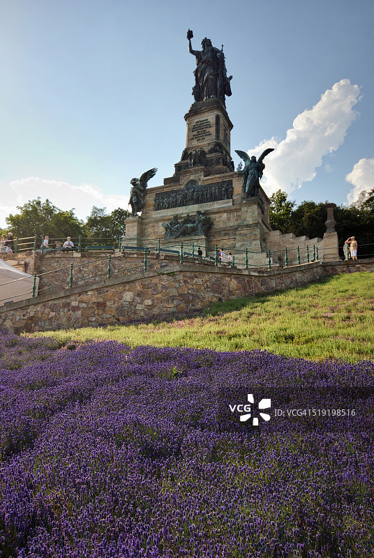 公园里的花图片素材