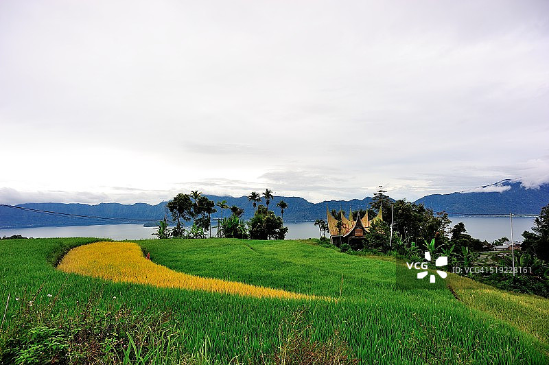 米南加保传统房屋图片素材